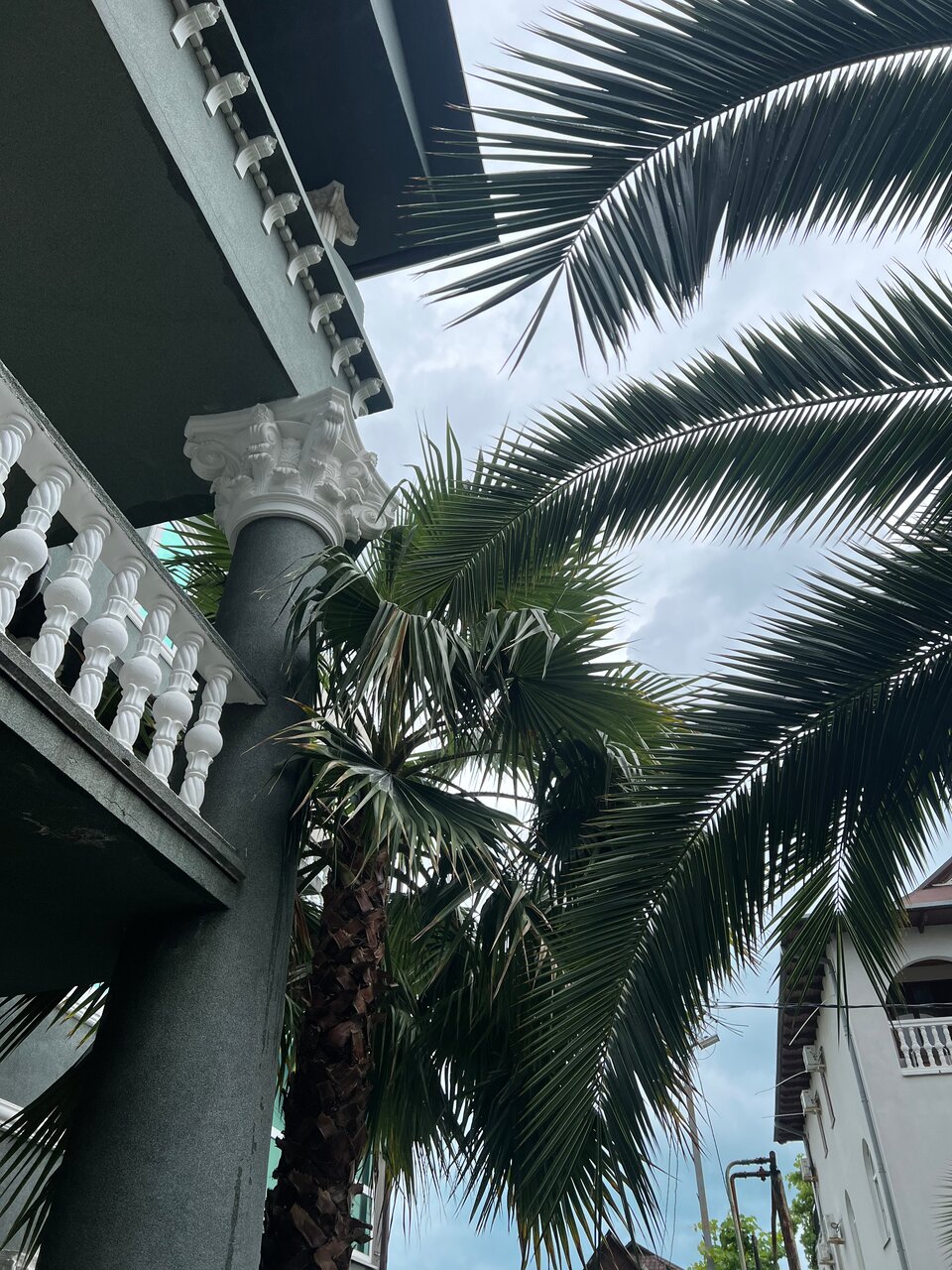 Гостевой дом Эллаиса Адлер