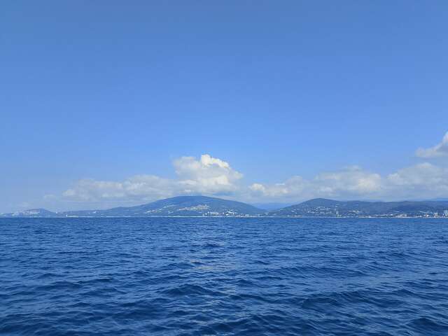 Гостевой дом Эллаиса Адлер-59