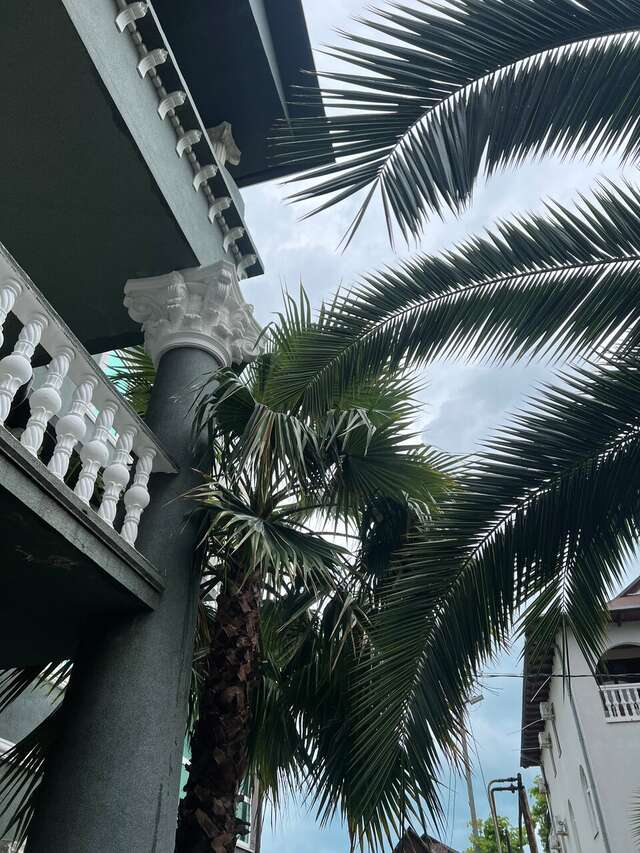 Гостевой дом Эллаиса Адлер-62