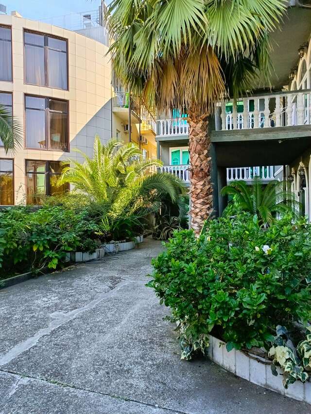 Гостевой дом Эллаиса Адлер-66